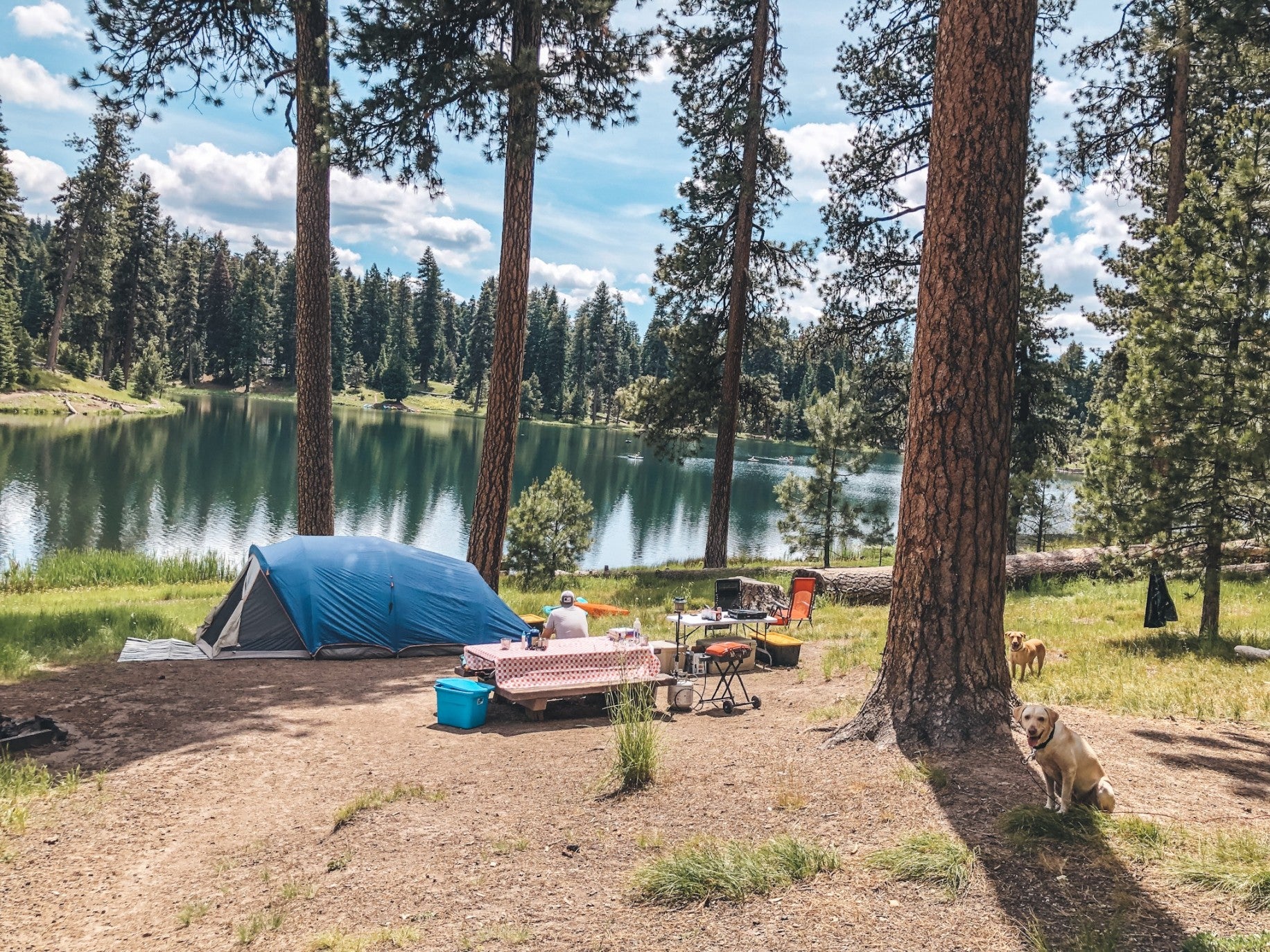 Como escolher a barraca de camping e o abrigo solar certos para o verão